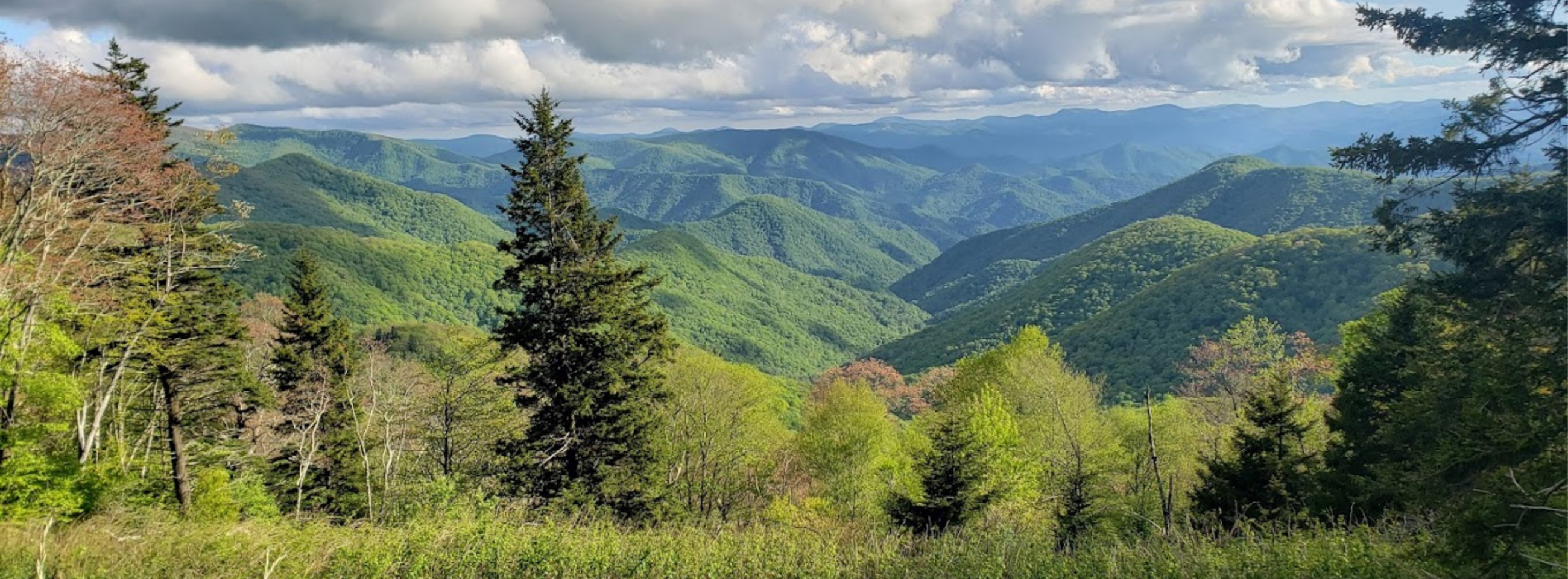 Untitled design (94)