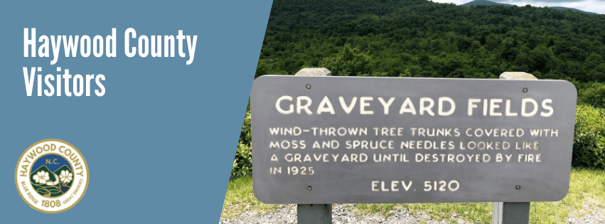 Haywood County Human Resources (21)